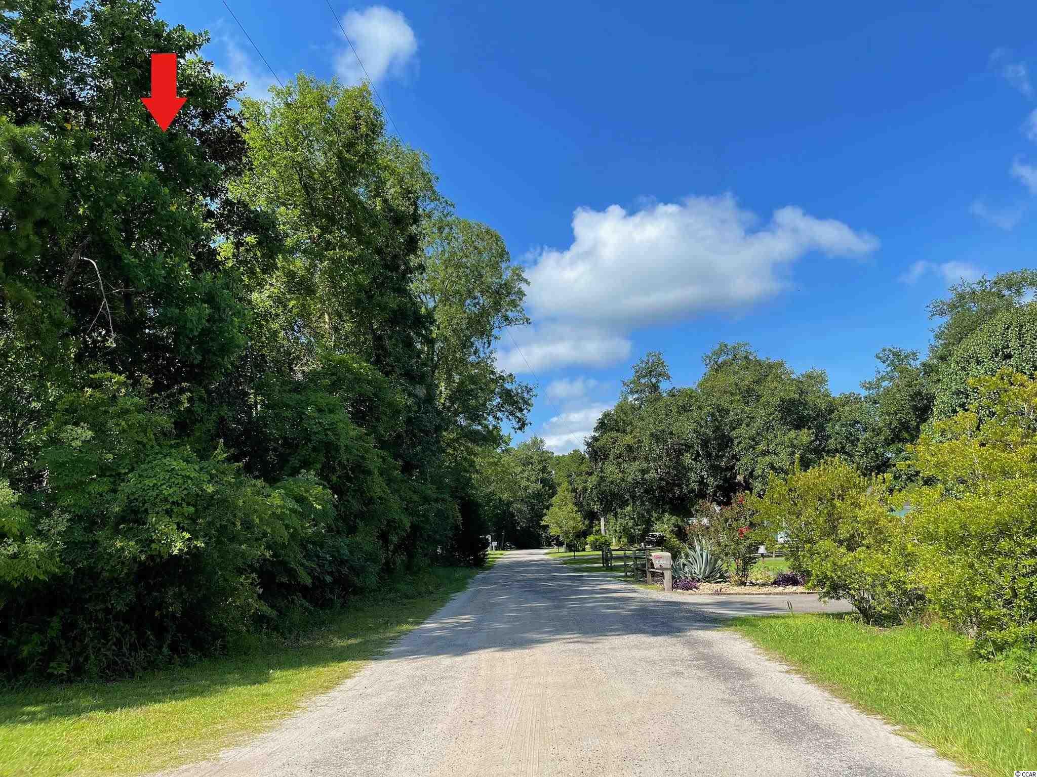 Lot 11 Berkeley Court Murrells Inlet, SC 29576 - Photo 1 of 8
