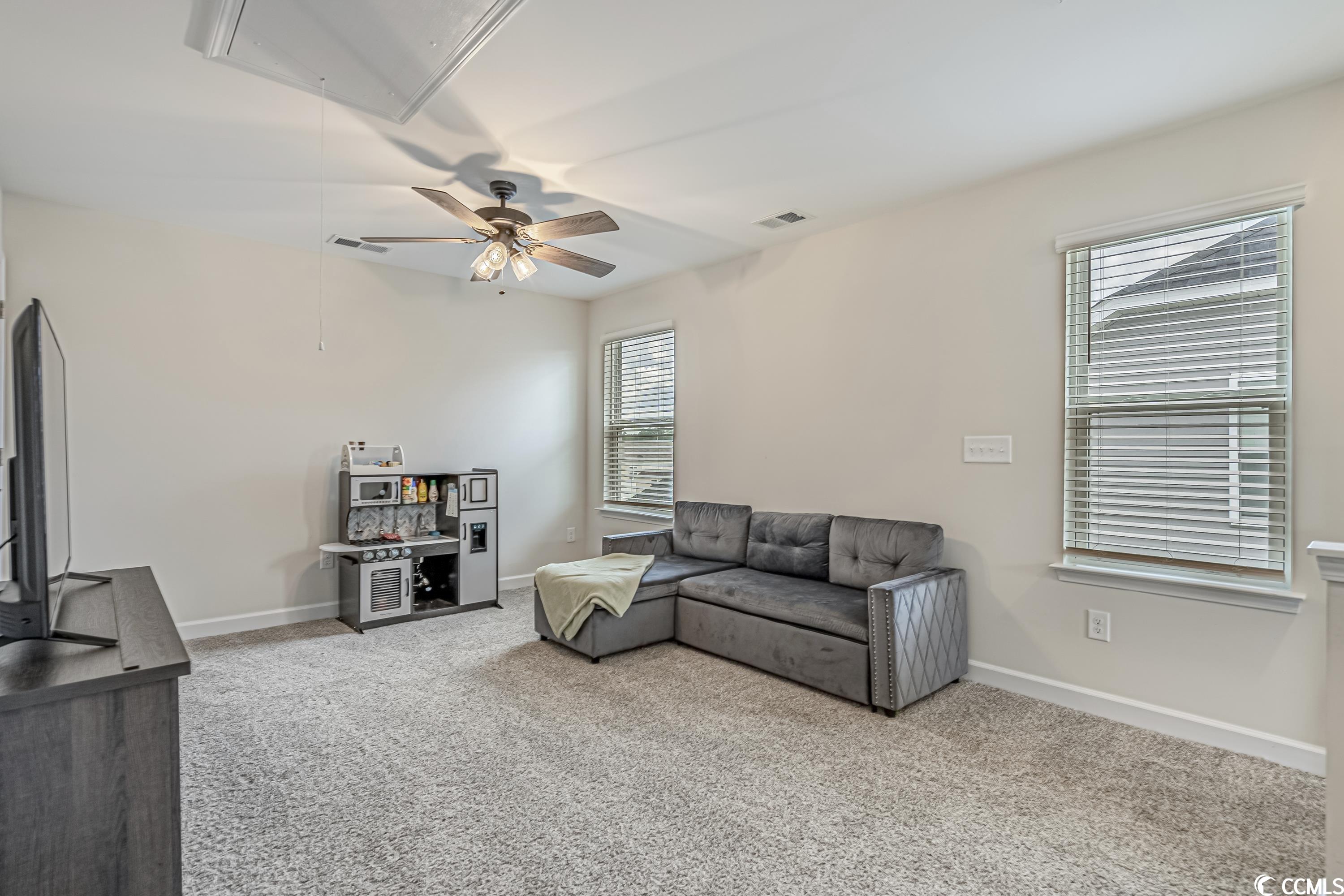 541 Shellbark Drive Longs, SC 29568 - Photo 31 of 40 Gallery Image 31