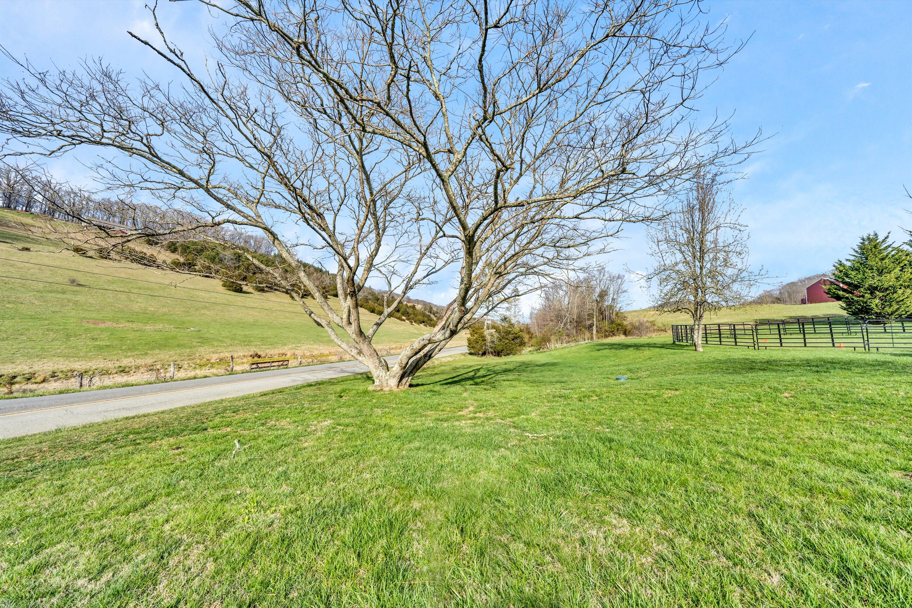 8200 Blacksburg Road Catawba, VA 24070 - Photo 76 of 83 76-DSC00235