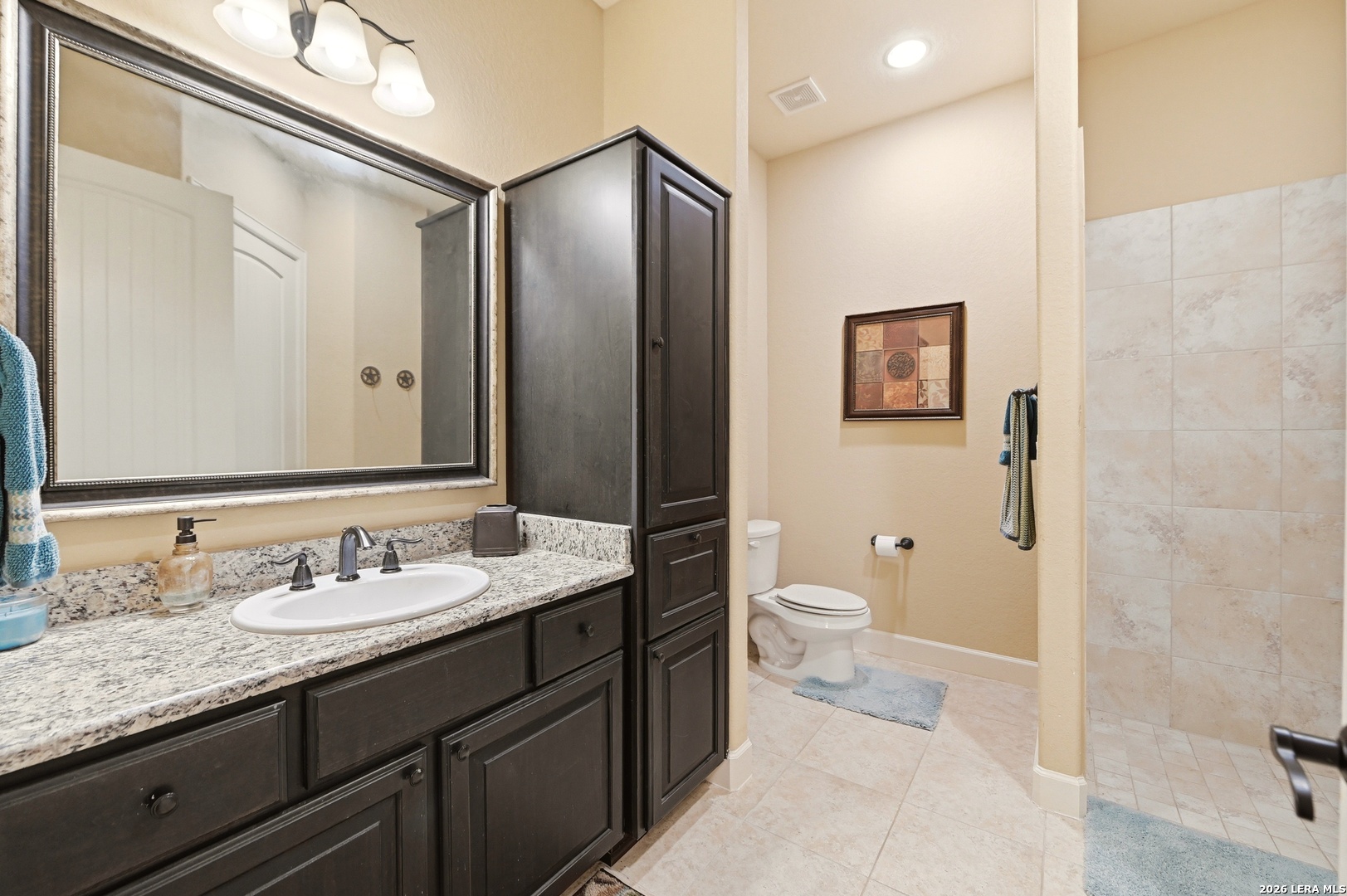 162 Alondra Lane Spring Branch, TX 78070 - Photo 42 of 58