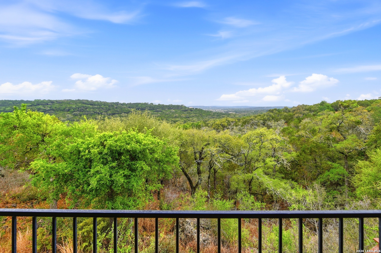 162 Alondra Lane Spring Branch, TX 78070 - Photo 49 of 58