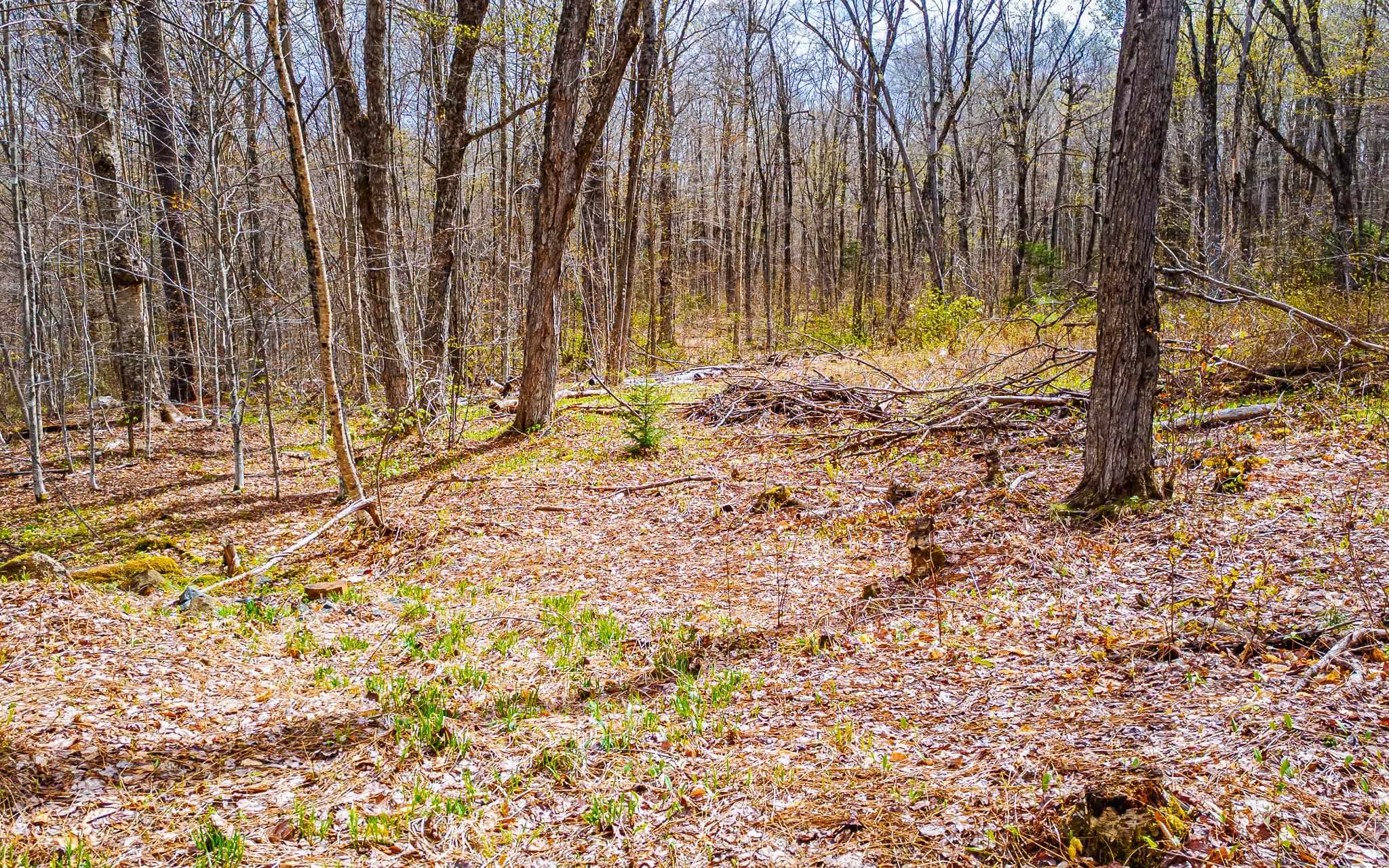 1053 Miller Pond Road Grantham, NH 03753 - Photo 4 of 11