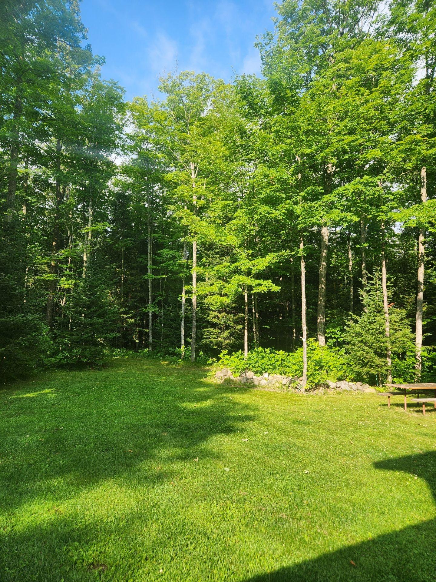 11738 Lily Pad Road Long Lake, WI 54542 - Photo 26 of 34 Gallery Image 26