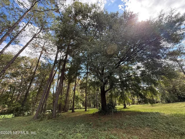 a view of outdoor space with trees