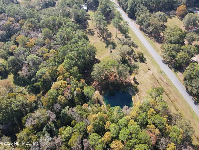 a view of a yard with a tree