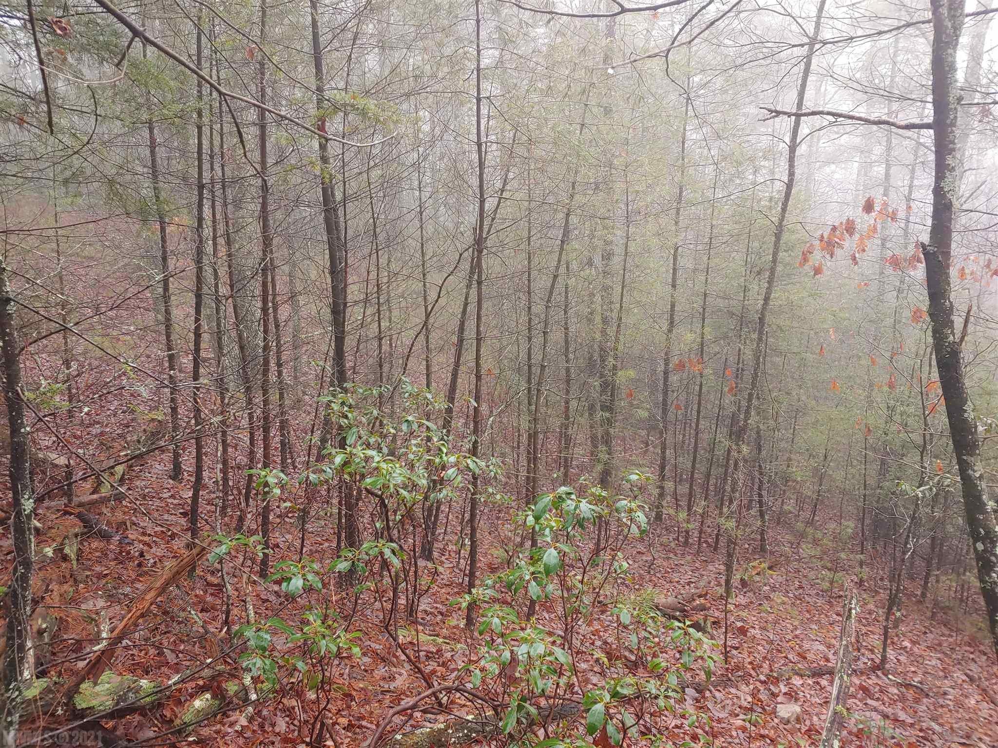 Tbd Tbd Macks Mtn Road Indian Valley, VA 24105 - Photo 14 of 27 Gallery Image 14