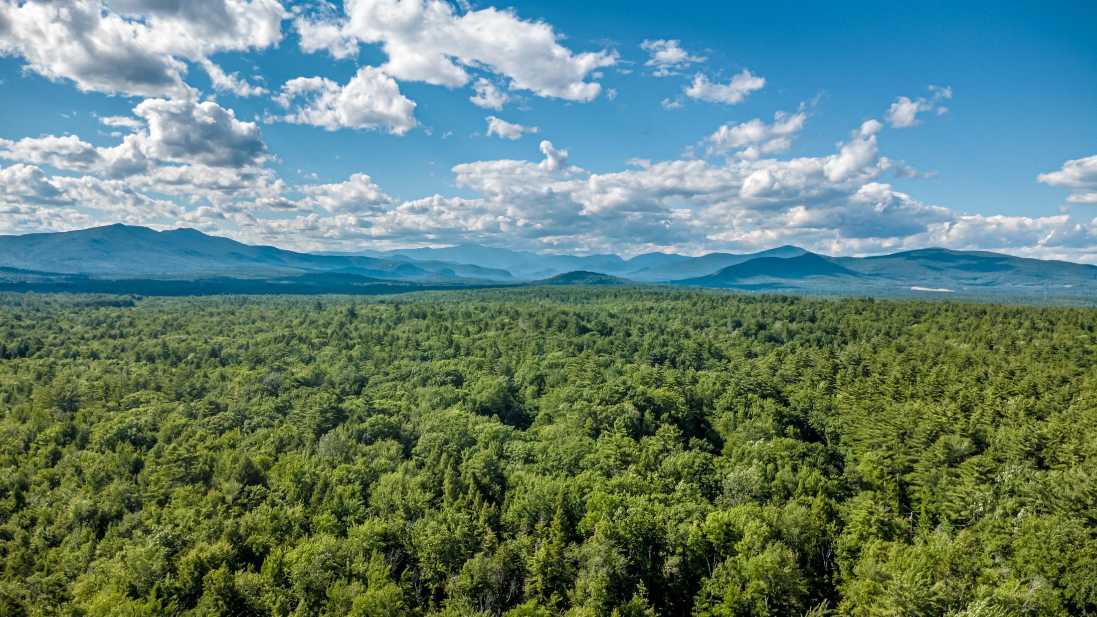 1342 Stark Road Conway, NH 03813 - Photo 57 of 57