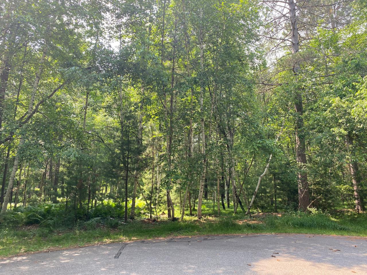 Lot 267 Ridgeway Court Minocqua, WI 54548 - Photo 12 of 17 Gallery Image 12
