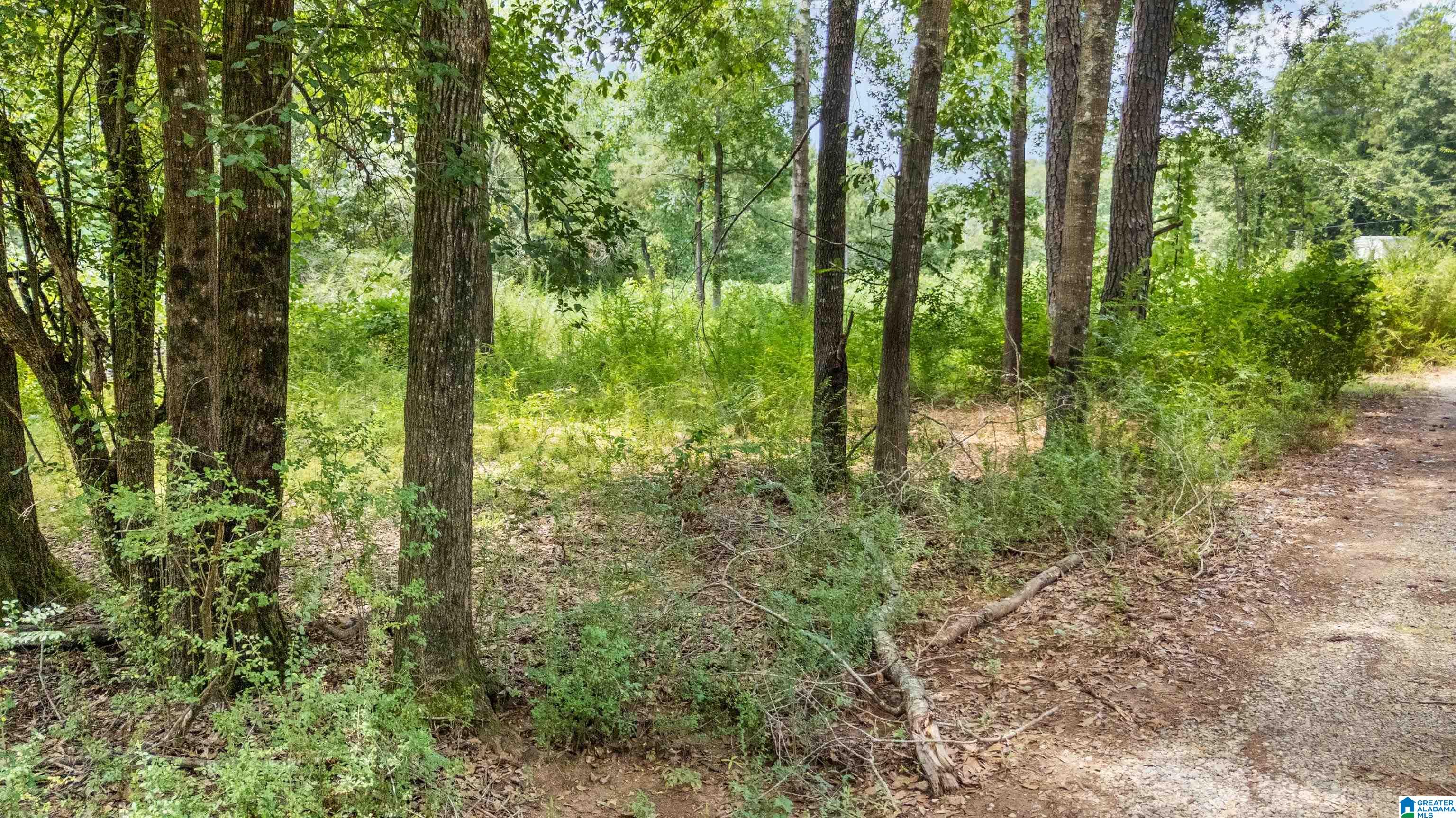 Lot 7 Hebb Road, Unit 7A Wilsonville, AL 35186 - Photo 20 of 29 Gallery Image 20