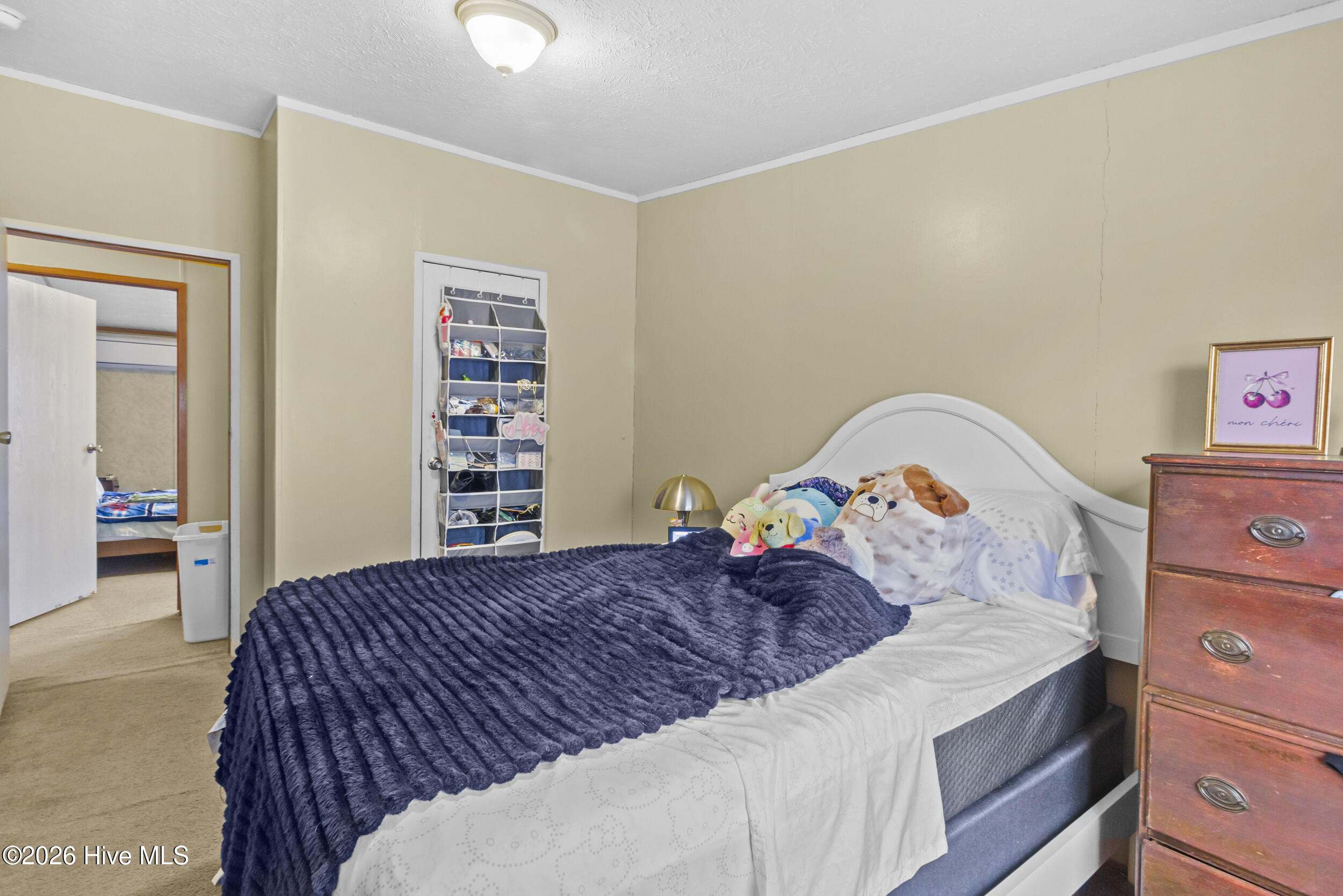 415 Country Acres Road Grifton, NC 28530 - Photo 17 of 37 3_img_2113