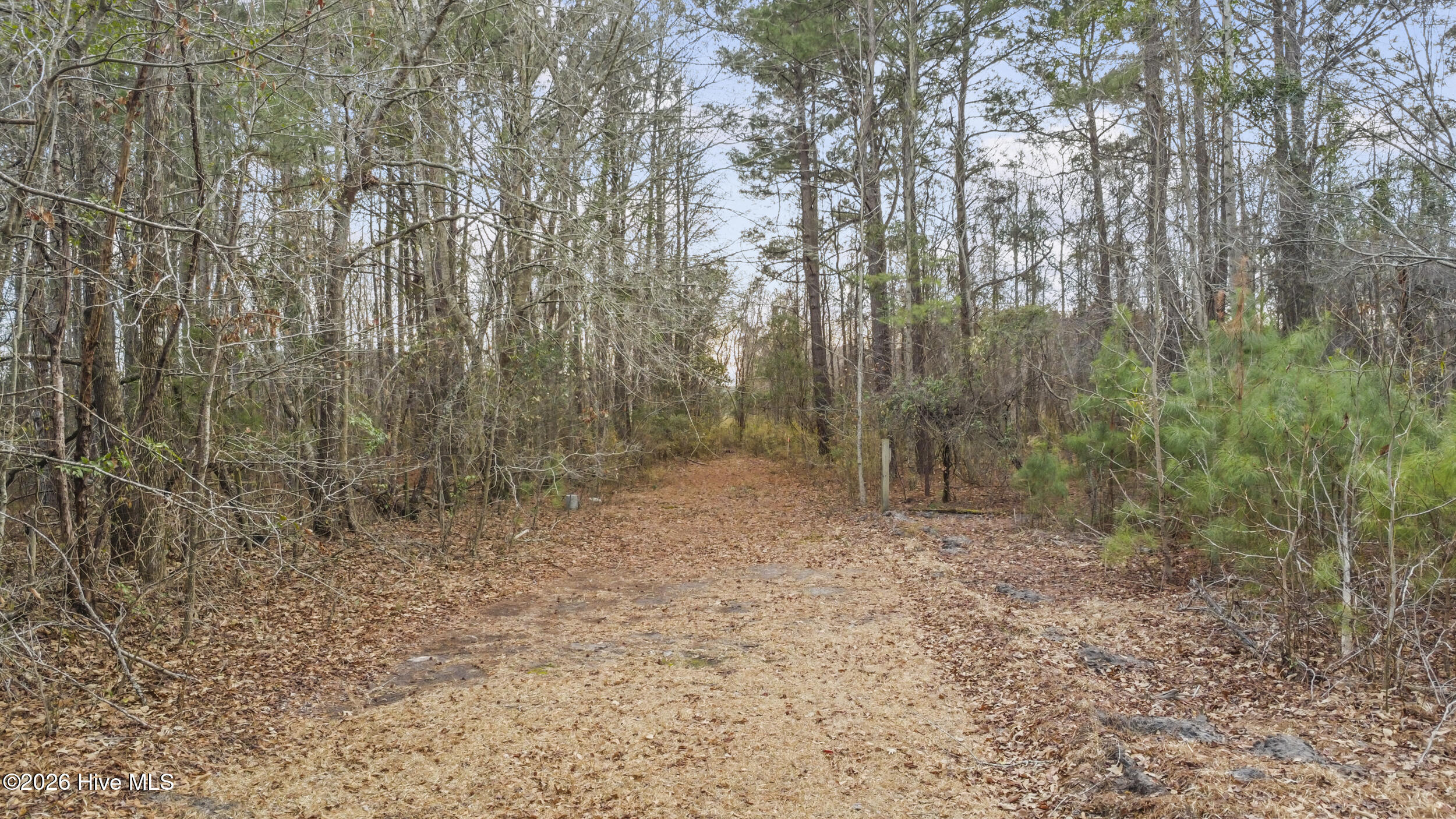 415 Country Acres Road Grifton, NC 28530 - Photo 28 of 37 35_dji_0558