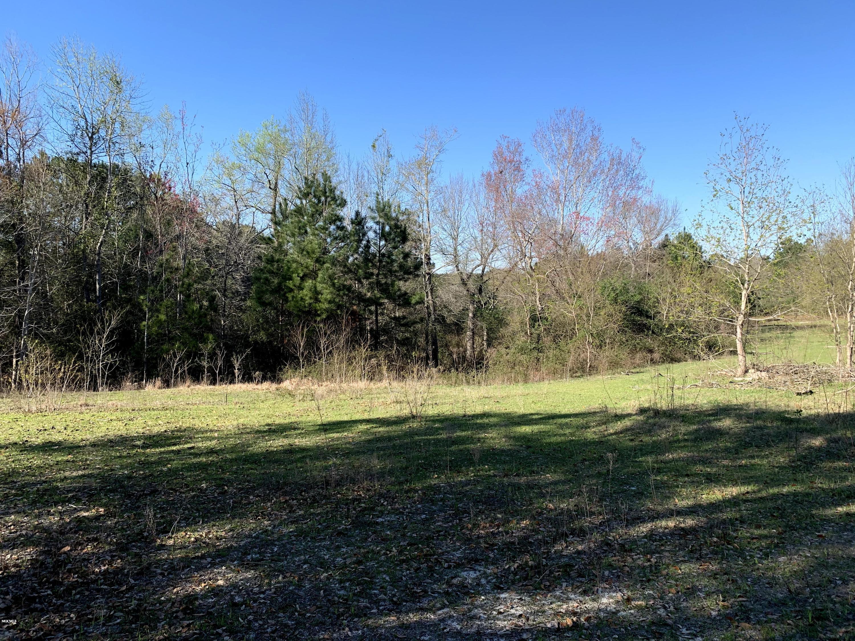 27050 Standard Dedeaux Road Kiln, MS 39556 - Photo 17 of 19 Land