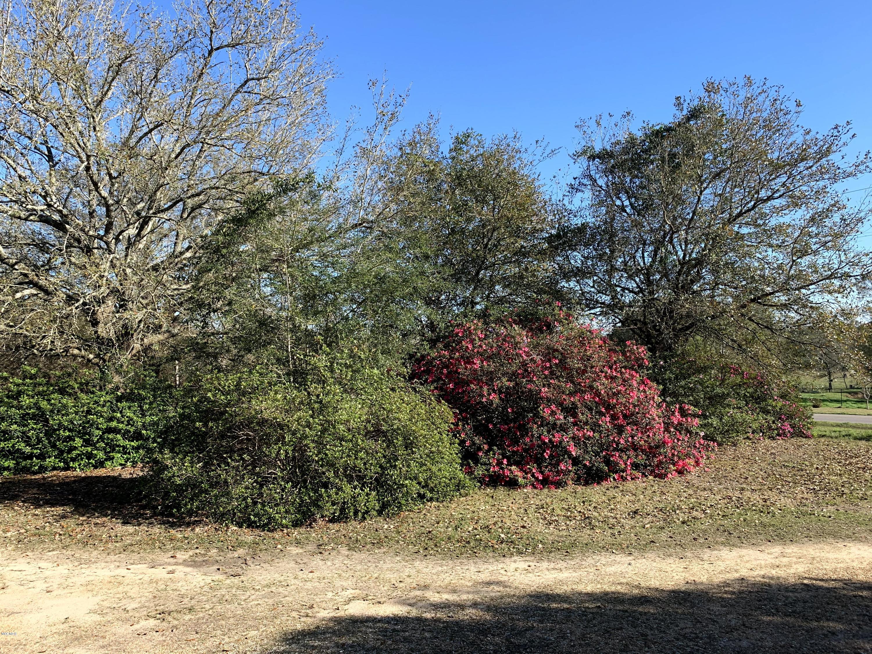 27050 Standard Dedeaux Road Kiln, MS 39556 - Photo 19 of 19 Land