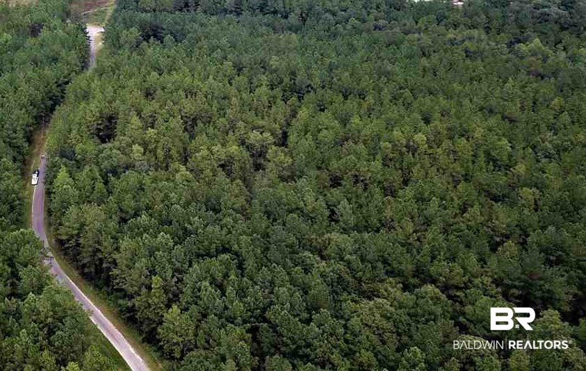 1 Hollingsworth Road Bay Minette, AL 36507 - Photo 1 of 6