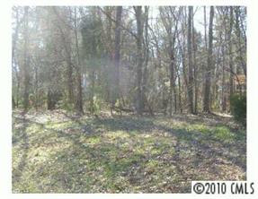 4.58 Harbor View Road Charlotte, NC 28278 - Photo 3 of 5 a view of small yard