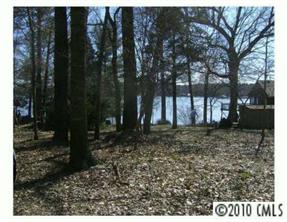 4.58 Harbor View Road Charlotte, NC 28278 - Photo 4 of 5 a view of a backyard with trees