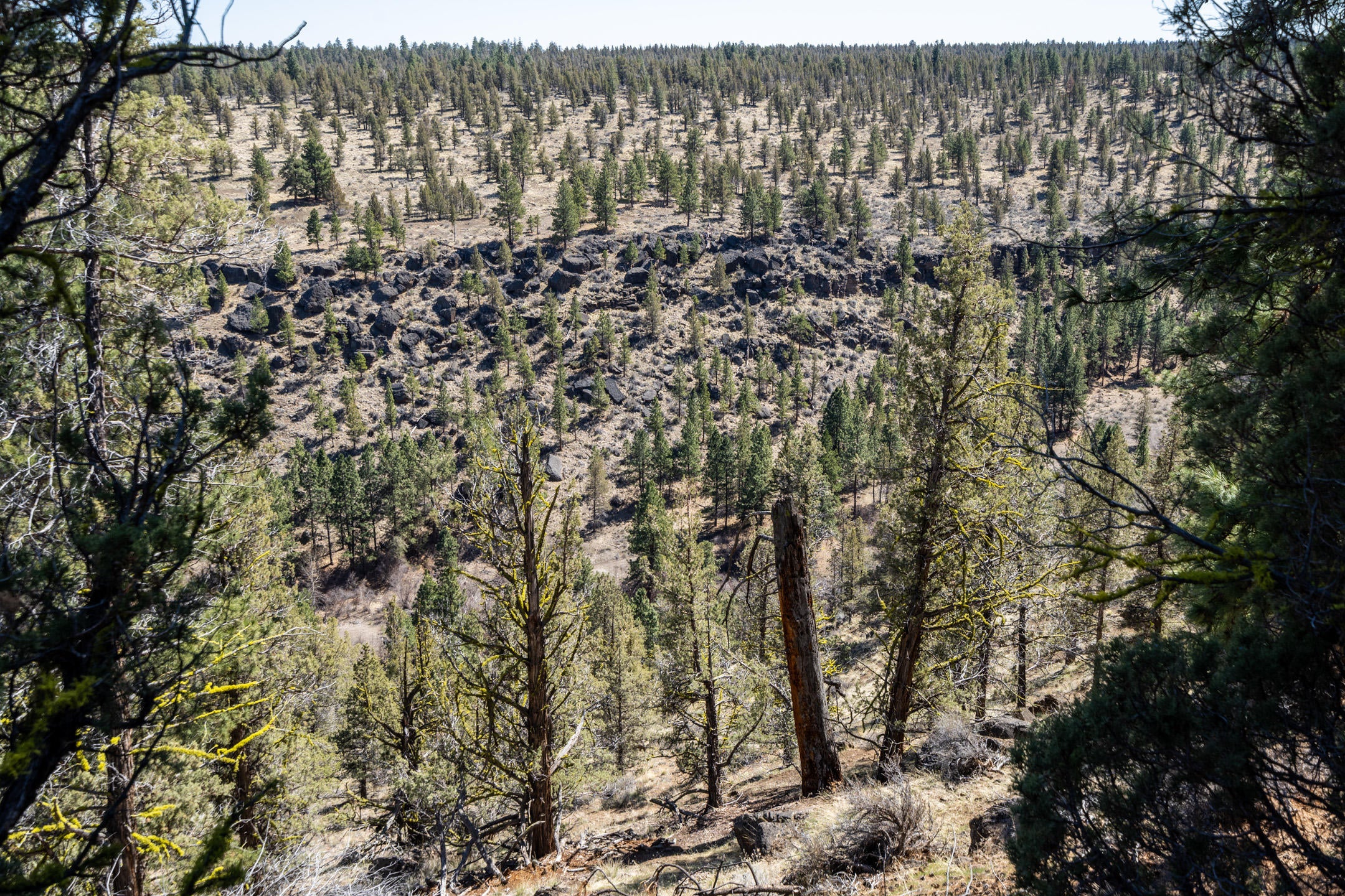 Lot 12 Mountain View Road Sisters, OR 97759 - Photo 5 of 29 2021_04_09_lot12_mountain_view_rd_sister