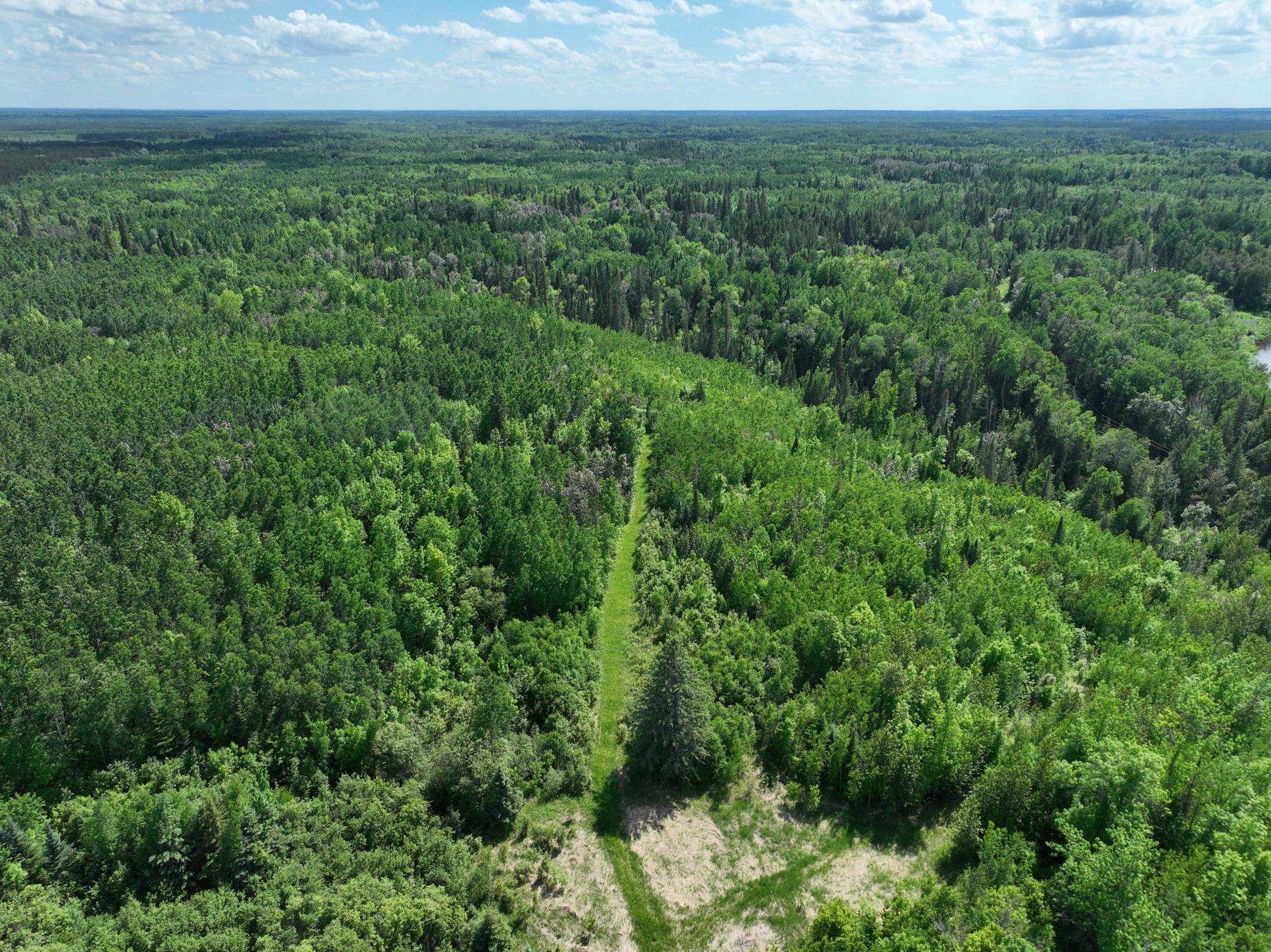 43 Rd E Littlefork Mn 56653 Road East Littlefork, MN 56653 - Photo 5 of 7 Gallery Image 5