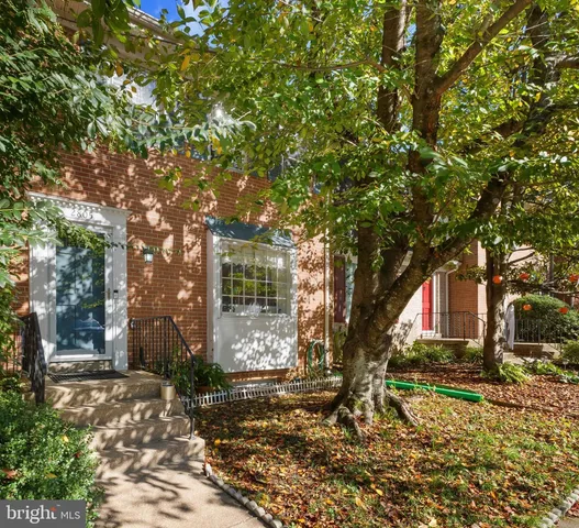 a tree in the middle of a yard