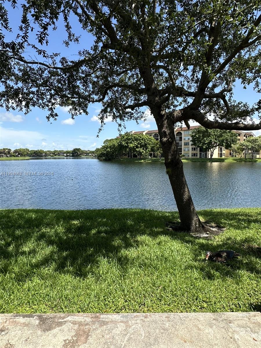 10003 Winding Lake Road, Unit 103 Sunrise, FL 33351 - Photo 11 of 12 a view of lake view