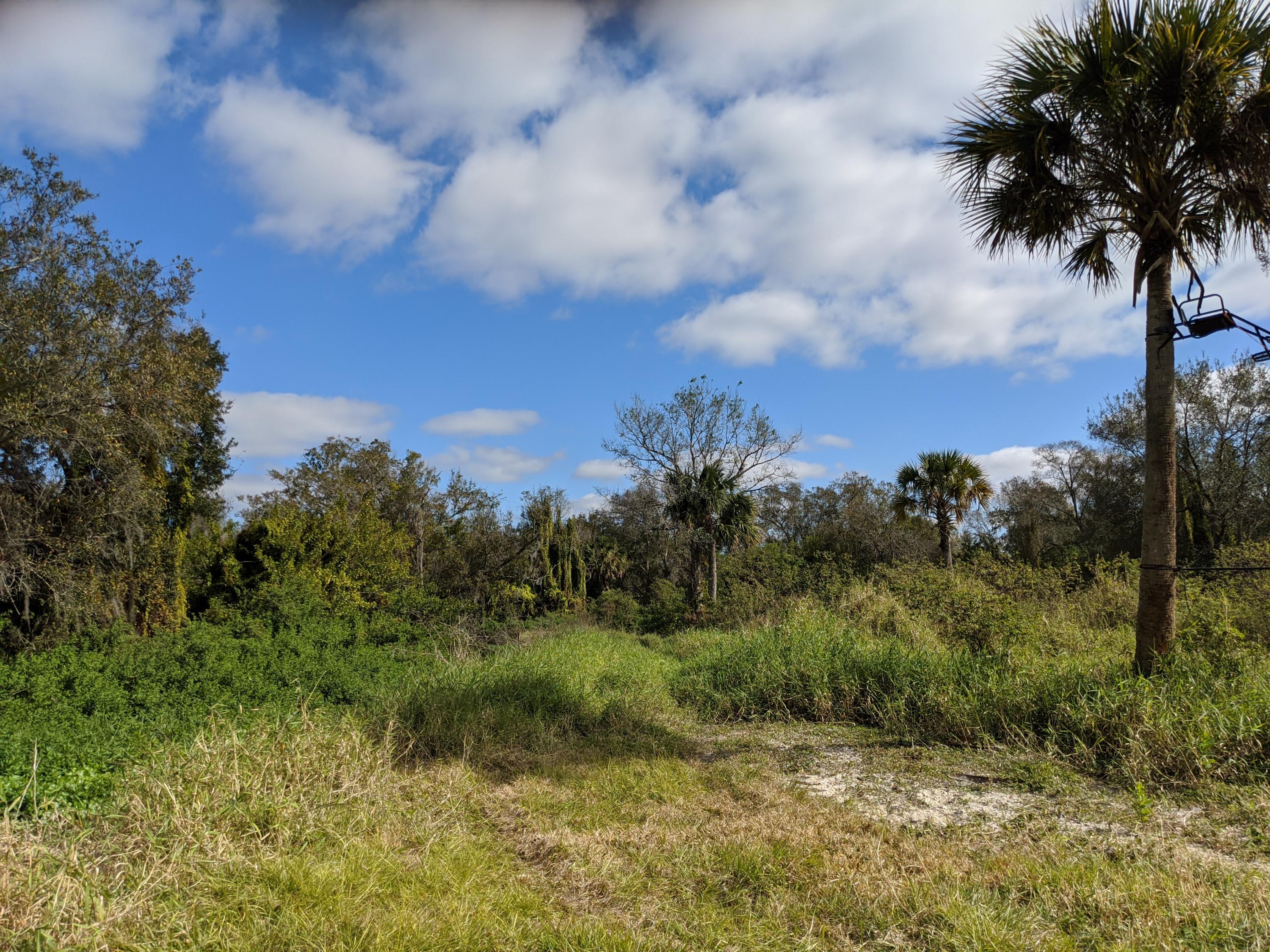 7851 Southwest Fox Brown Road Indiantown, FL 34956 - Photo 17 of 67 IMG_20210109_112547