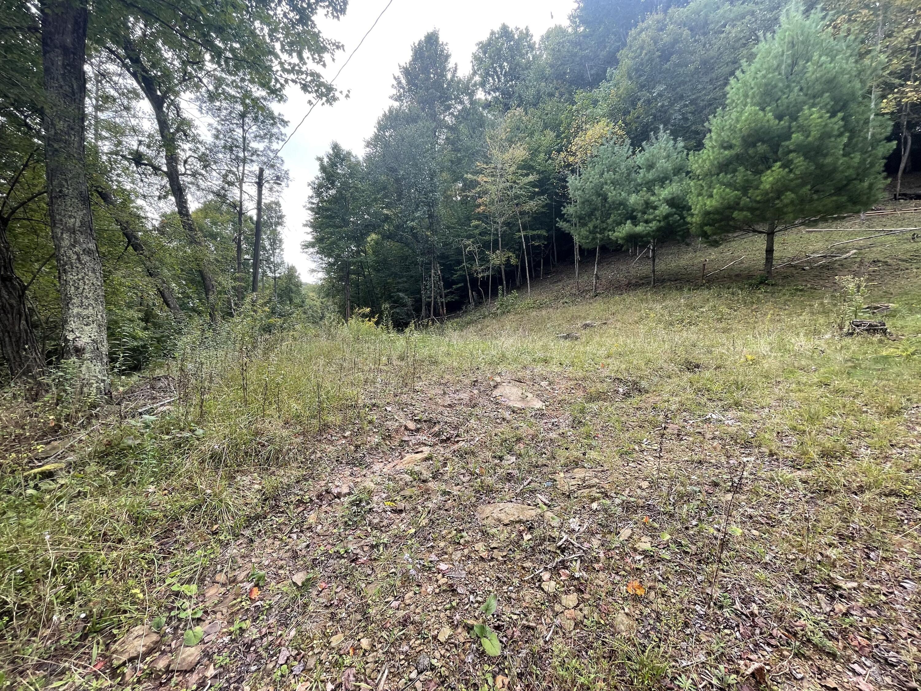 1363 Will Dodd Road Jumping Branch, WV 25969 - Photo 10 of 10 Gallery Image 10