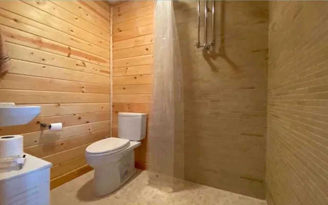 a bathroom with a toilet and a shower