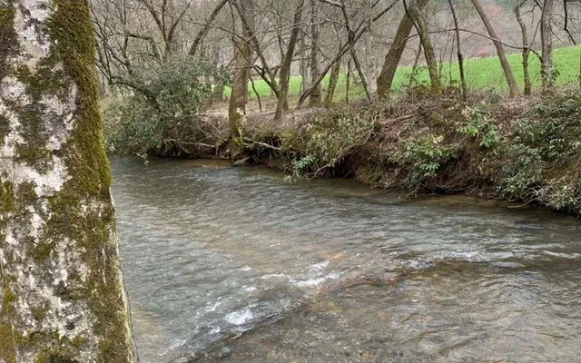 a view of backyard with green space