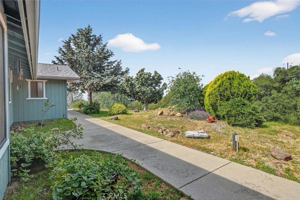 3310 Deer Run Road Mariposa, CA 95338 - Photo 3 of 47 a view of a backyard of a house