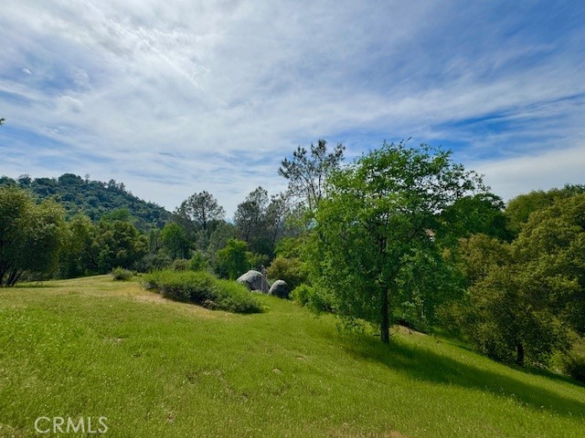 3310 Deer Run Road Mariposa, CA 95338 - Photo 38 of 41