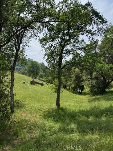 3310 Deer Run Road Mariposa, CA 95338 - Photo 40 of 41