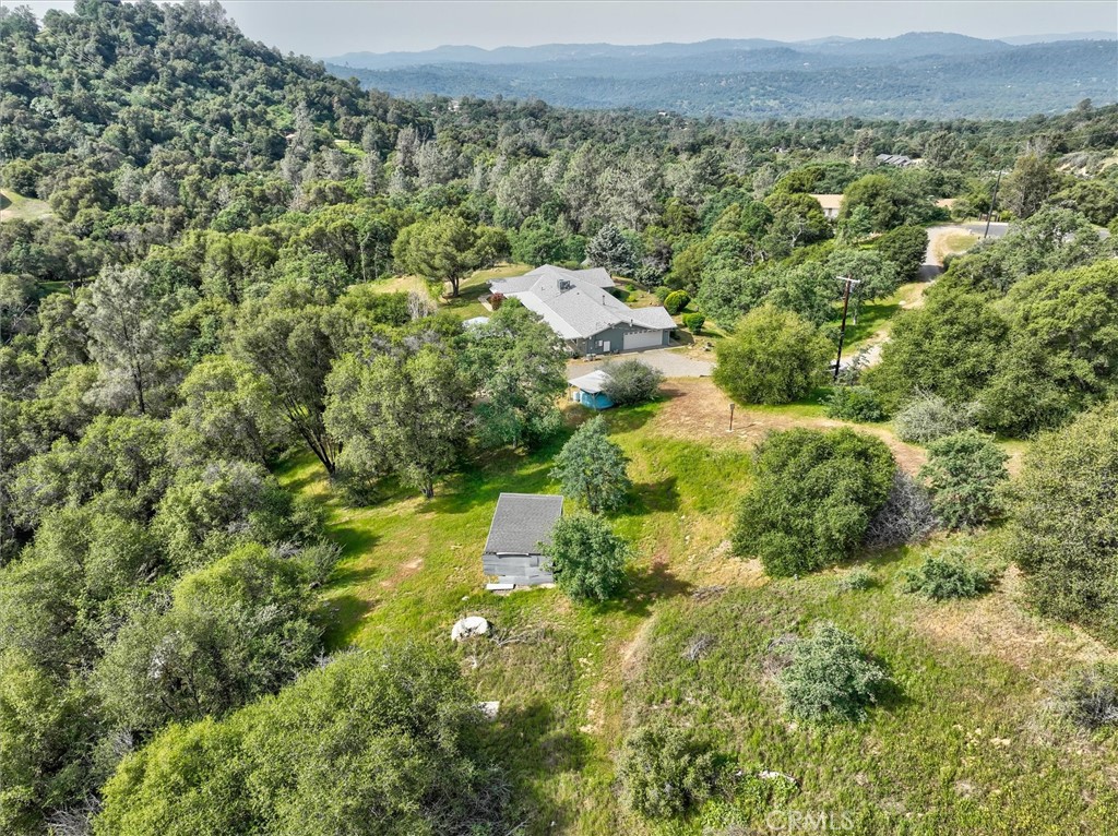 3310 Deer Run Road Mariposa, CA 95338 - Photo 45 of 47 a view of a lush green forest with trees and some houses