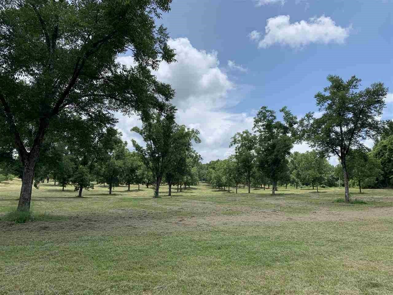29499 Cottle Creek Road Andalusia, AL 36421 - Photo 18 of 20 Gallery Image 18