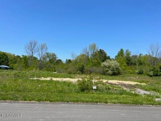 5 Aspen Way Pittsfield, MA 01201 - Photo 4 of 19 a view of a grassy field with trees