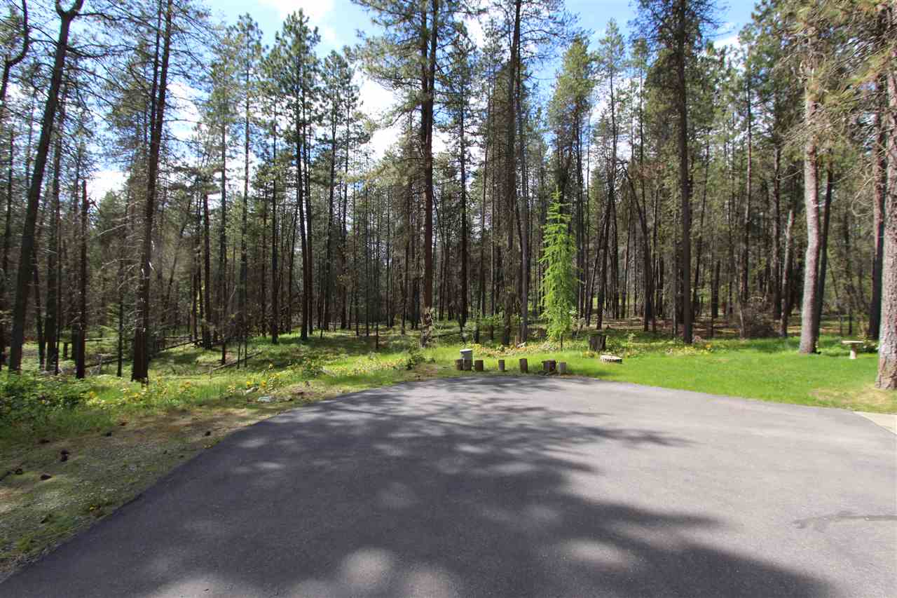 4812 West Staley Road Deer Park, WA 99006 - Photo 4 of 20 Gallery Image 4