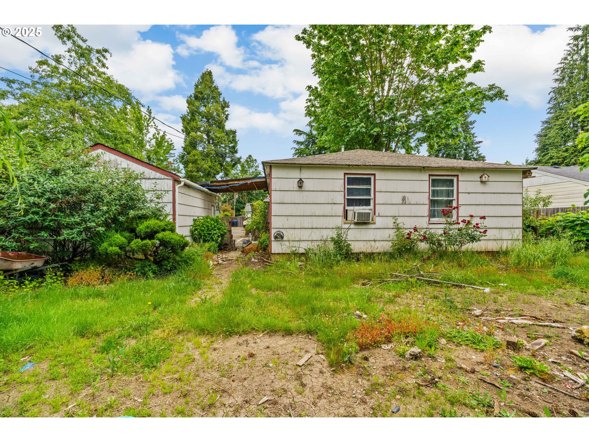 535 Pacific Avenue Springfield, OR 97477 - Photo 7 of 18