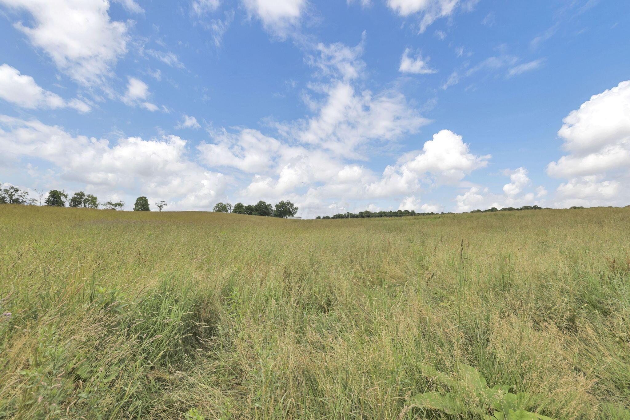 2662 Millersburg Road Utica, OH 43080 - Photo 64 of 81 66-web-or-mls-GR7A3454