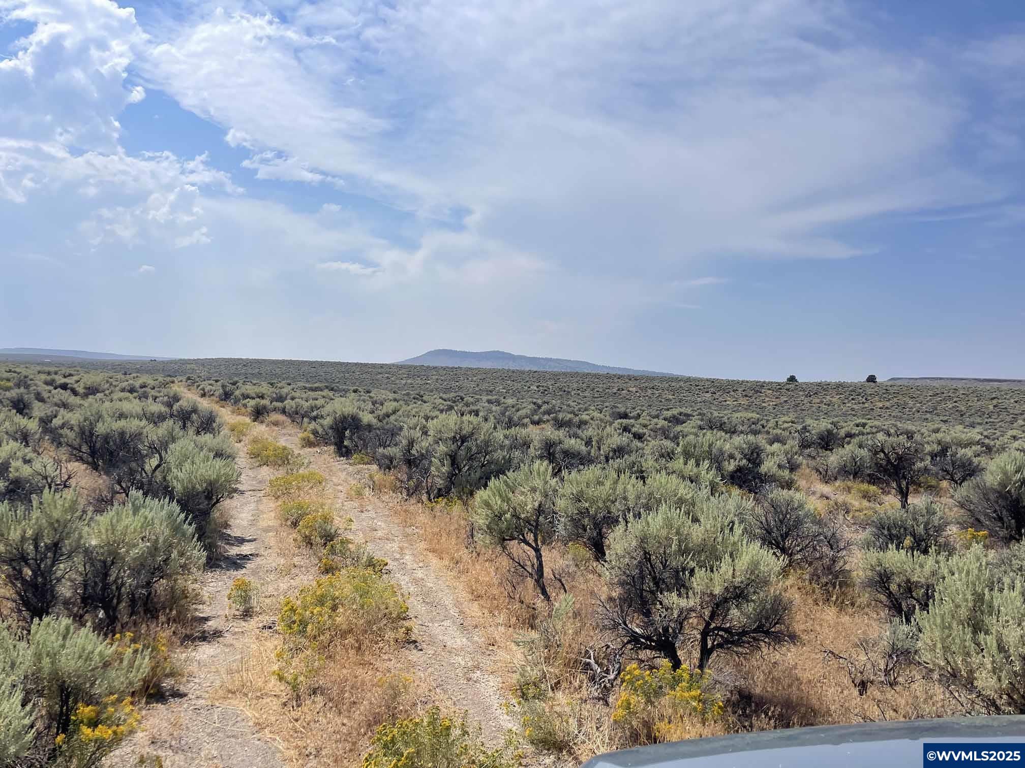 00400 Christmas Valley Highway Riley, OR 97758 - Photo 9 of 31