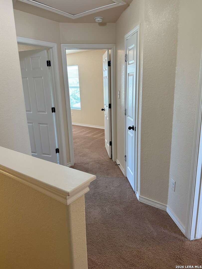 16917 Showdown Path, Unit 102 Selma, TX 78154 - Photo 9 of 18 Gallery Image 9