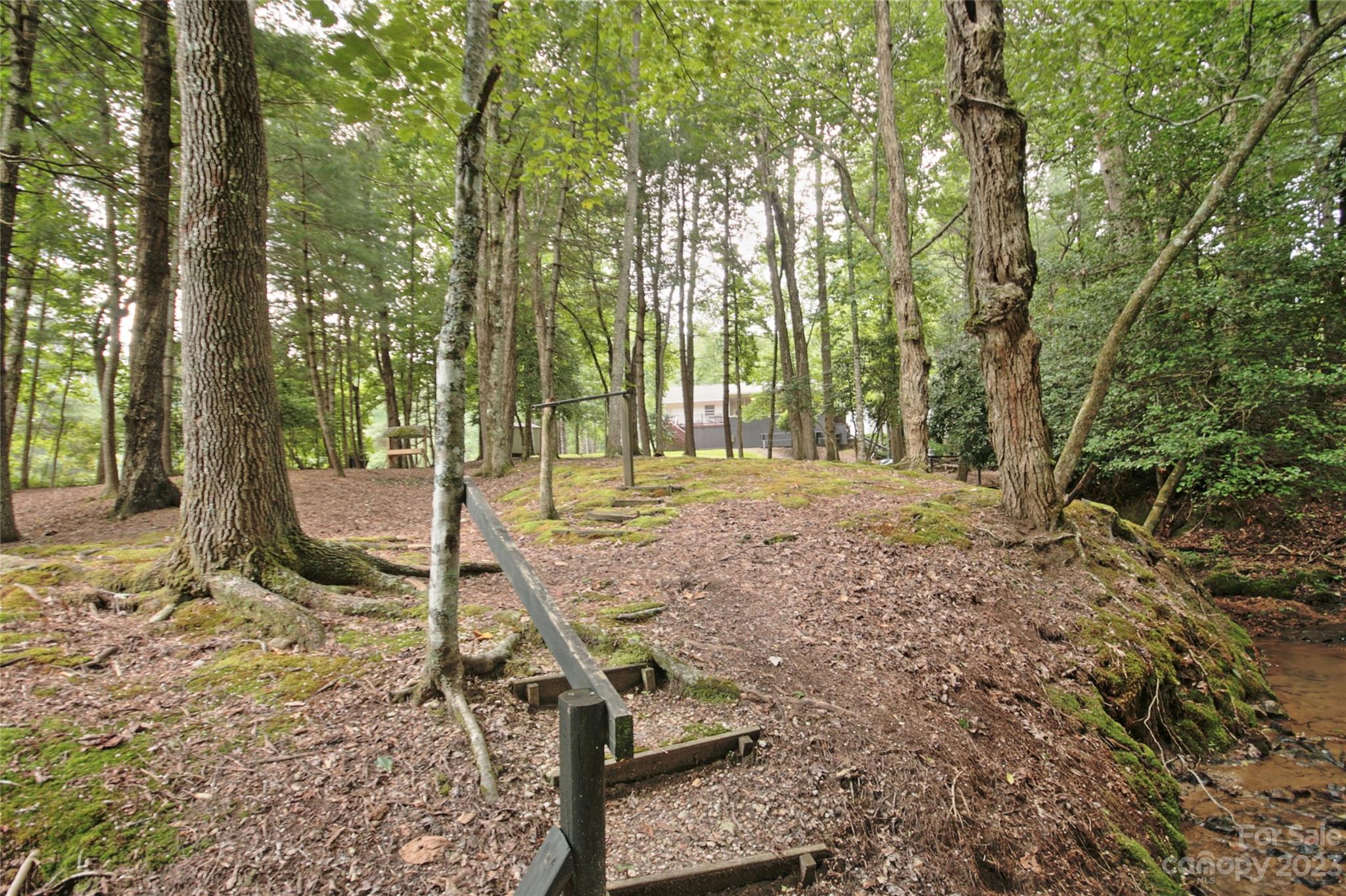 4211 Staton Road Hendersonville, NC 28739 - Photo 18 of 43 a view of a backyard with large trees