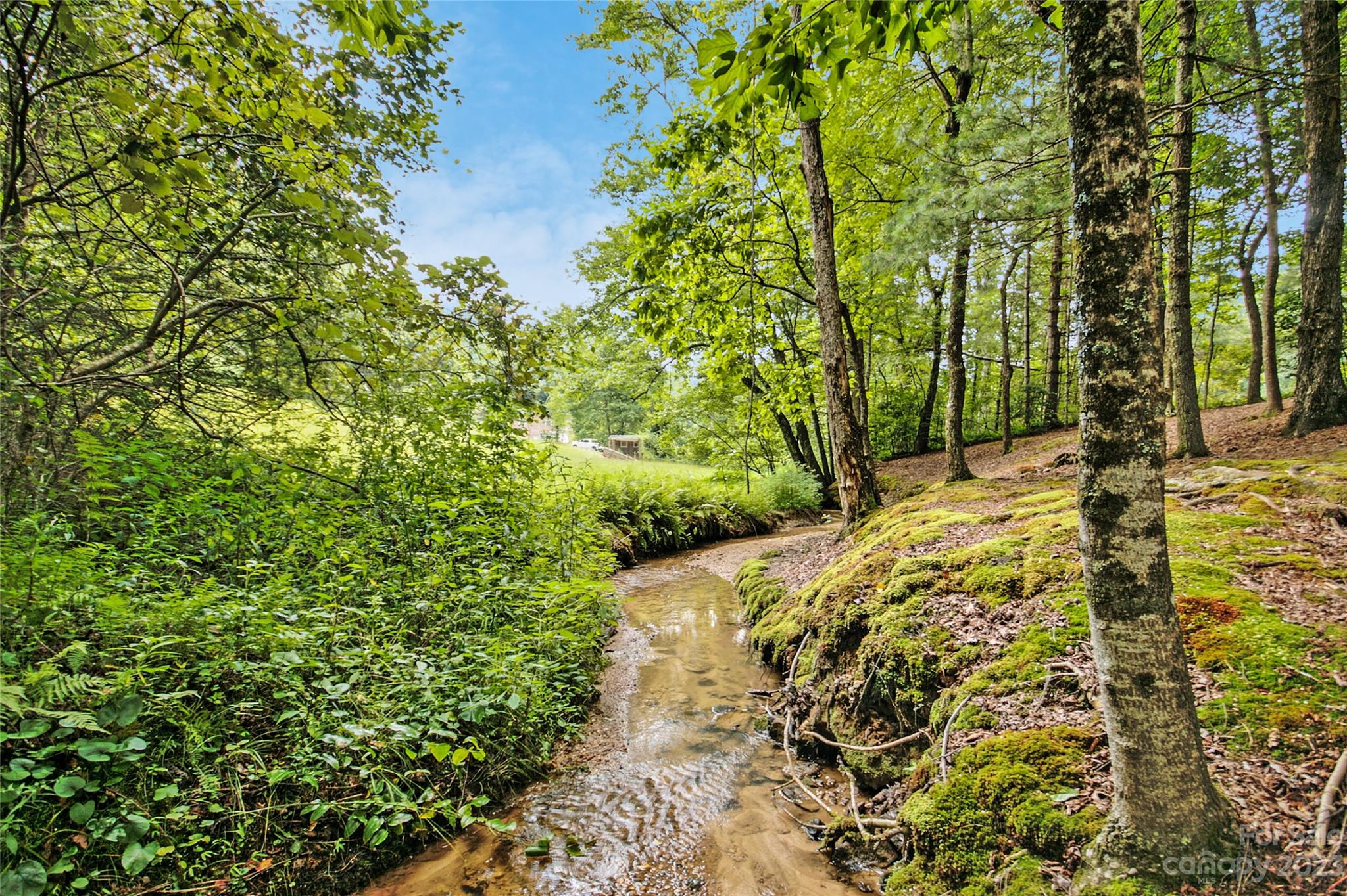 4211 Staton Road Hendersonville, NC 28739 - Photo 19 of 43 a view of a yard with plants and tree