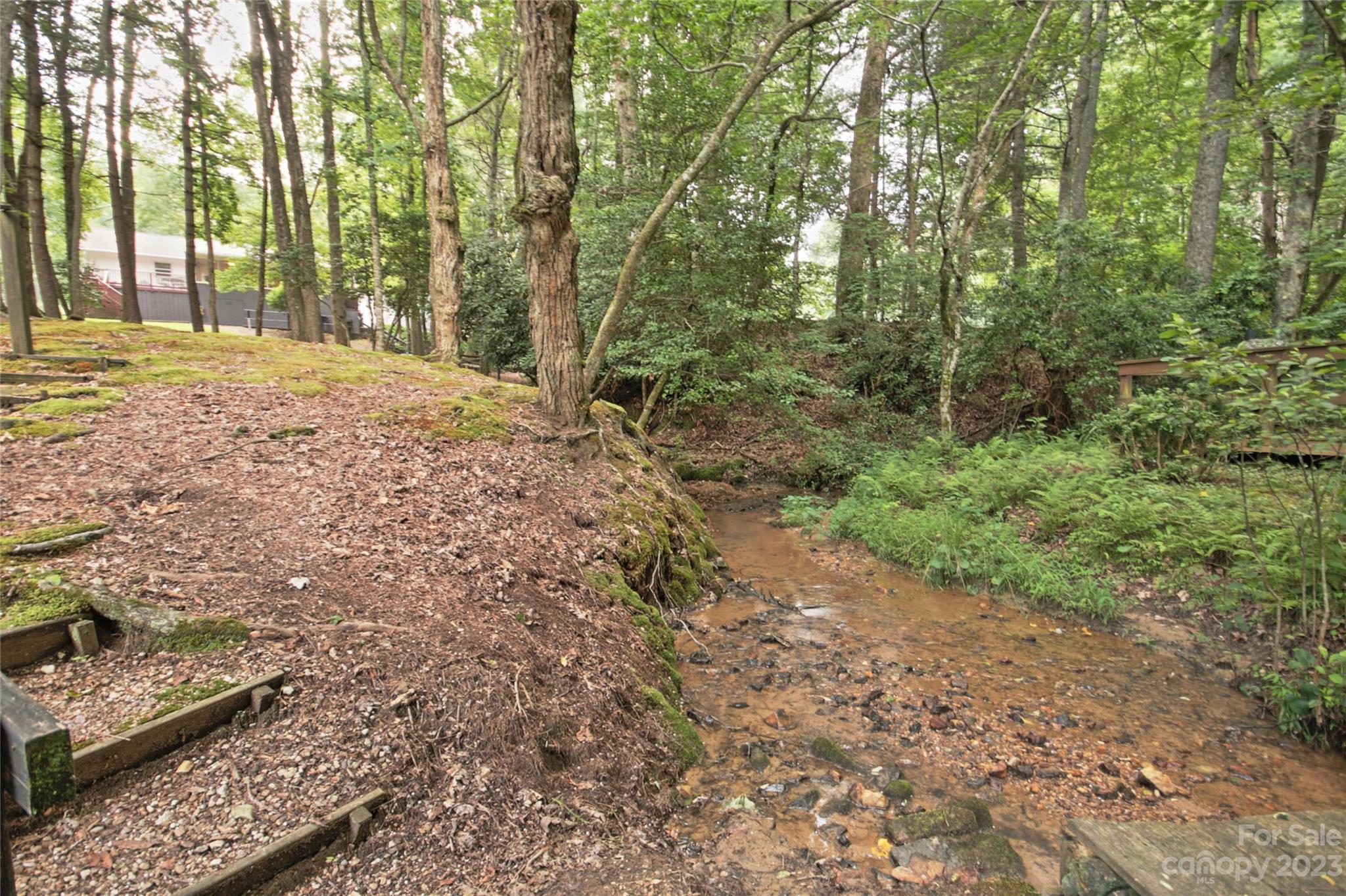 4211 Staton Road Hendersonville, NC 28739 - Photo 20 of 43 a view of a yard with plants and trees