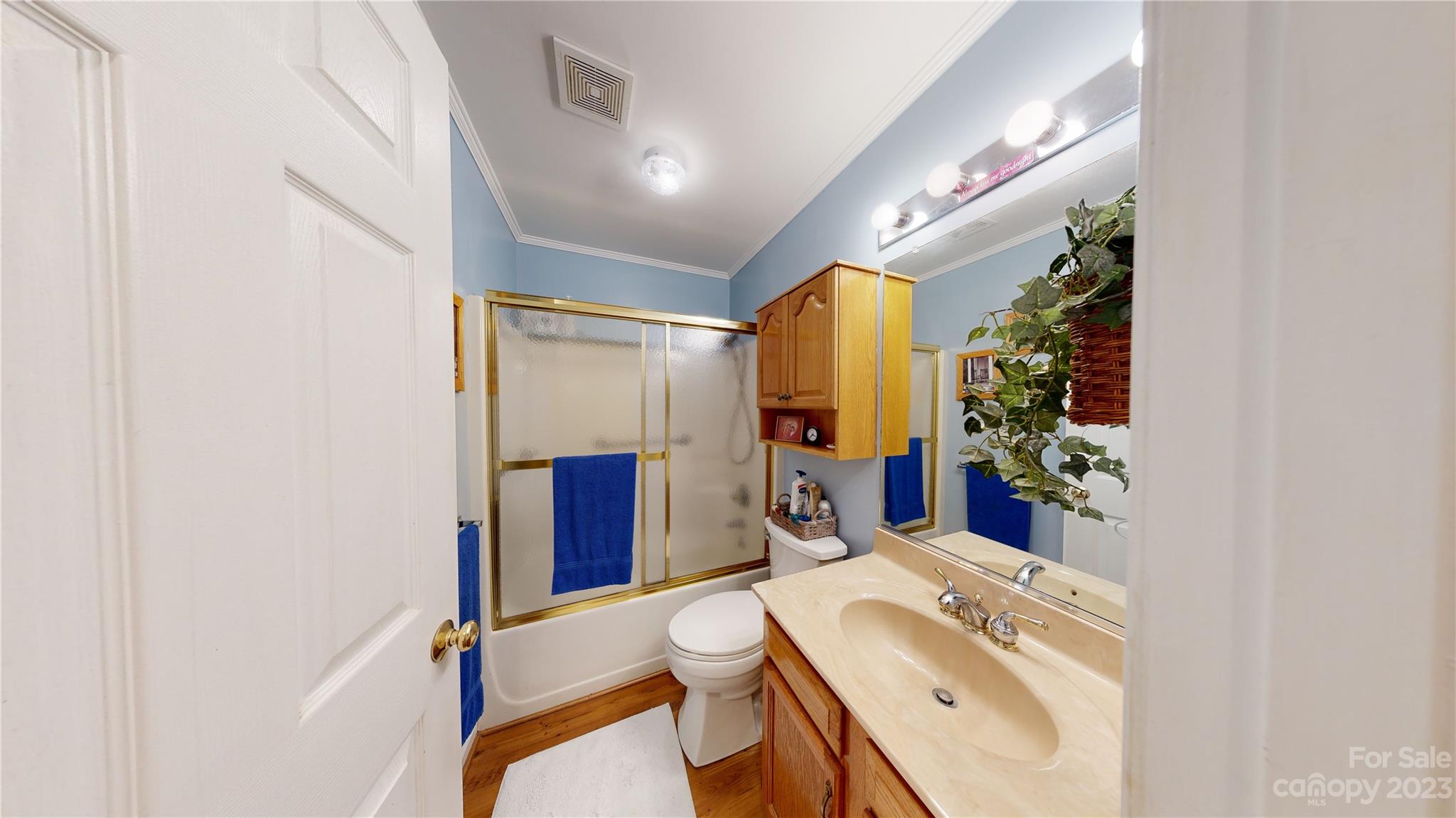 4211 Staton Road Hendersonville, NC 28739 - Photo 32 of 43 a bathroom with a sink vanity mirror and toilet