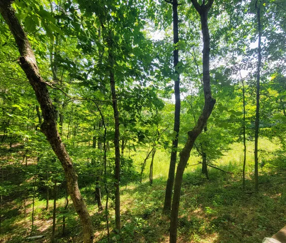 $100,000 | 235 Awanita Drive, Trenton, GA 30752