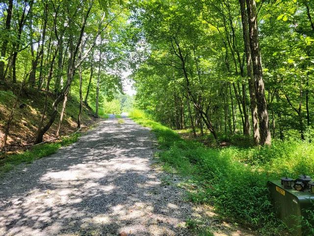 $100,000 | 235 Awanita Drive, Trenton, GA 30752