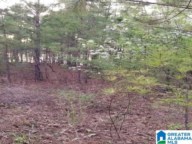 Boathouse Circle Sylacauga, AL 35151 - Photo 6 of 17