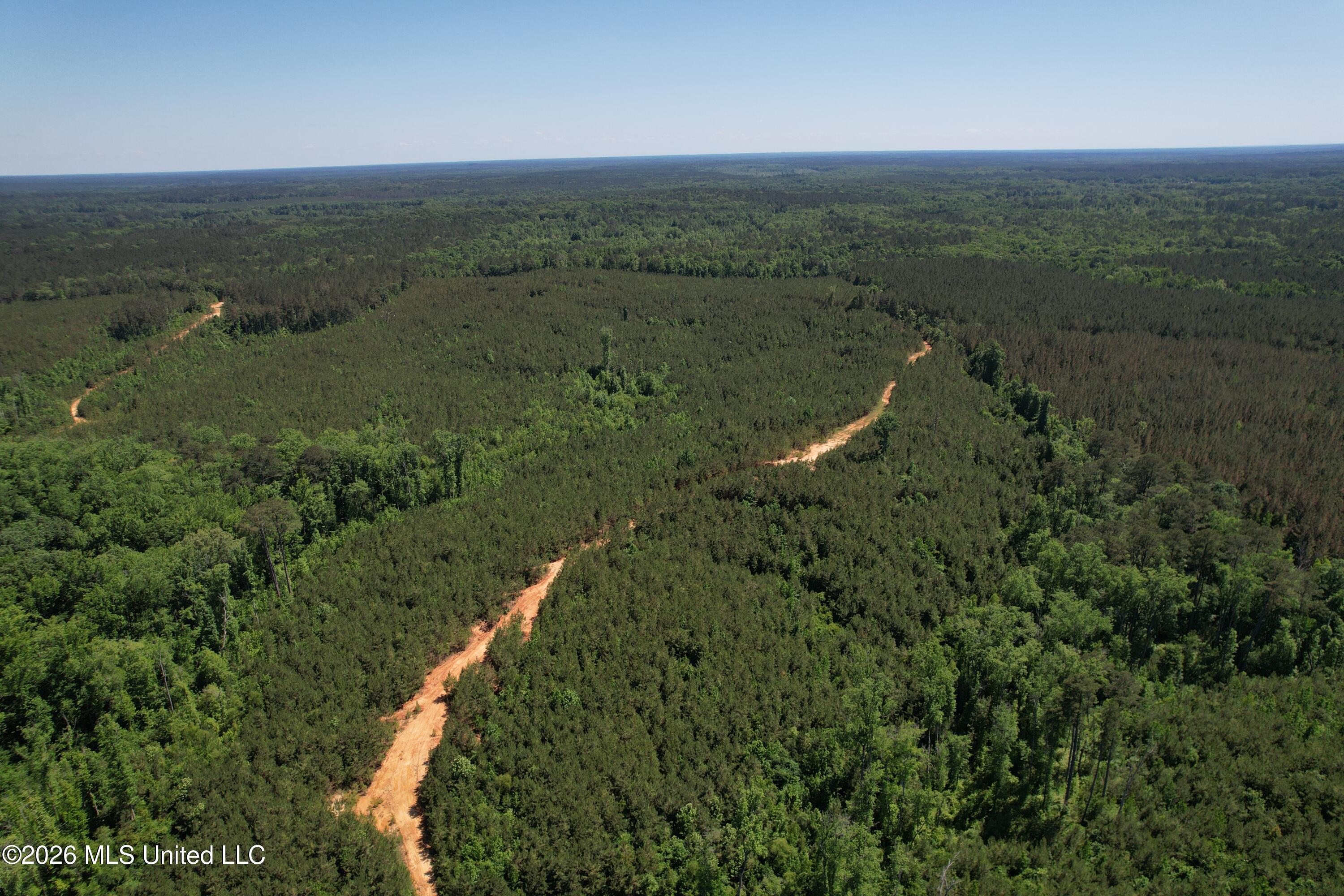 Couparle Road Camden, MS 39045 - Photo 6 of 47 DJI_0122