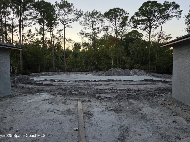 a view of a yard with trees