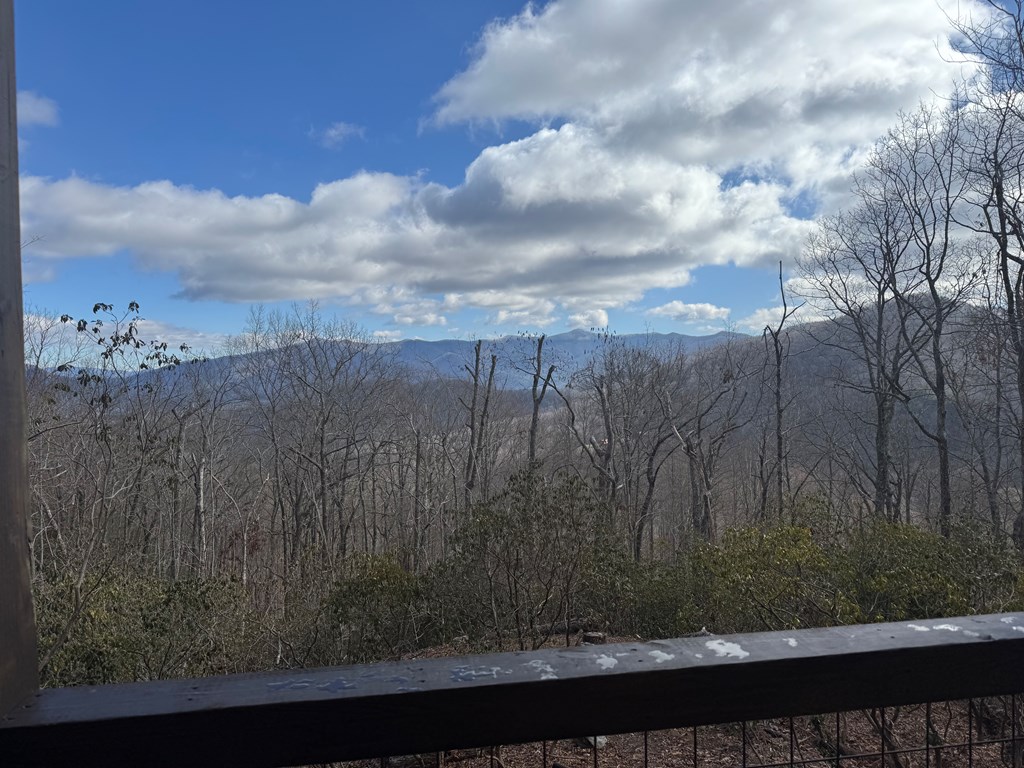 579 Overlook Loop Young Harris, GA 30582 - Photo 19 of 47