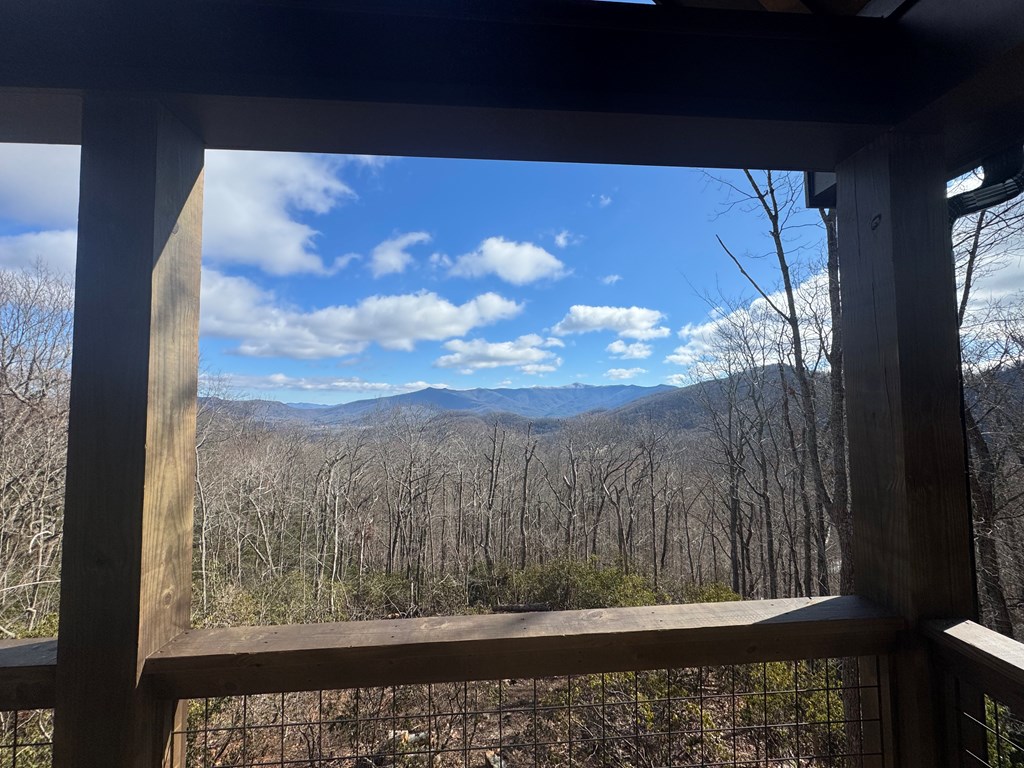 579 Overlook Loop Young Harris, GA 30582 - Photo 45 of 47